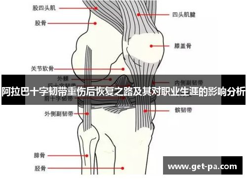 阿拉巴十字韧带重伤后恢复之路及其对职业生涯的影响分析